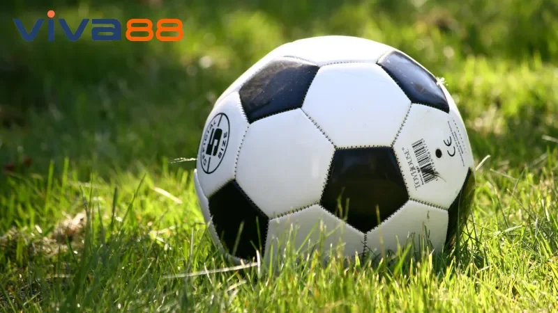 Quy trình tham gia cá độ bóng đá Viva88 cho tân binh